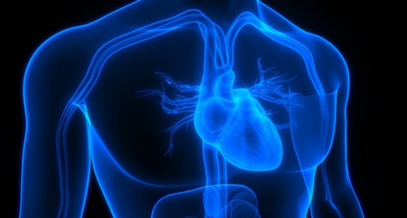 서울아산병원, 3D 펄스장 절제술로 심방세동 치료 성공