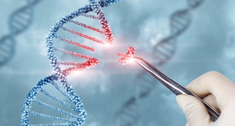 유전자 교정, 불치의 한계를 넘어 <br> 새 삶을 선물하다