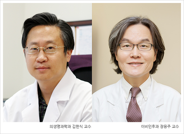 의생명과학과 김헌식 교수, 이비인후과 장용주 교수