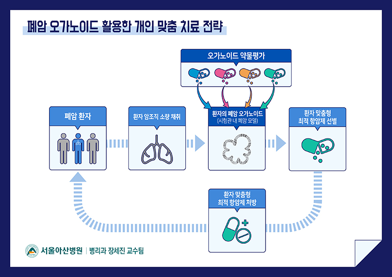 폐암 오가노이드 활용한 개인 맞춤 치료 전략(서울아산병원)