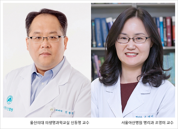 울산의대 의생명과학교실 신동명교수, 서울아산병원 병리과 조영미 교수