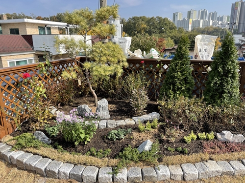 멀칭 전 이미지