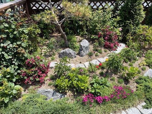 멀칭 후 이미지